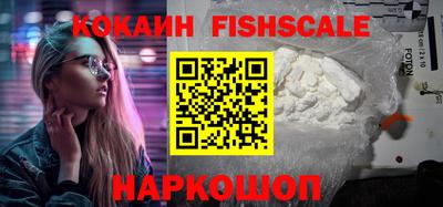 мет Кингисепп