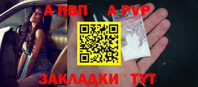 мет Кингисепп