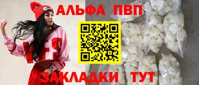 мет Кингисепп