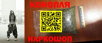 мет Кингисепп