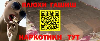мет Кингисепп