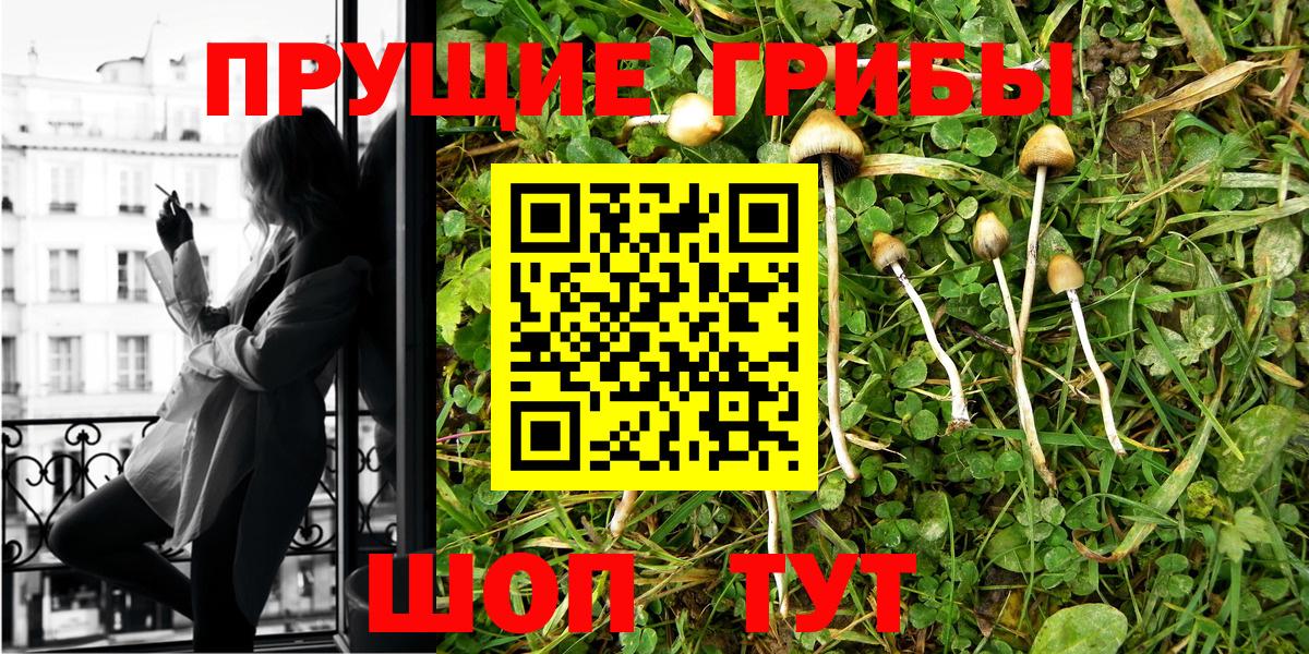 Галлюциногенные грибы мухоморы  Псилоцибиновые грибы Psilocybine cubensis  Вход с VPN  Кропоткин 