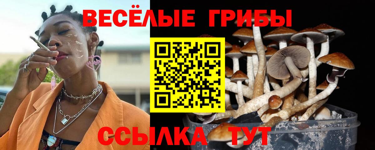 Псилоцибиновые грибы GOLDEN TEACHER Кропоткин